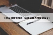 云南马蜂养殖技术（云南马蜂养殖视频大全）